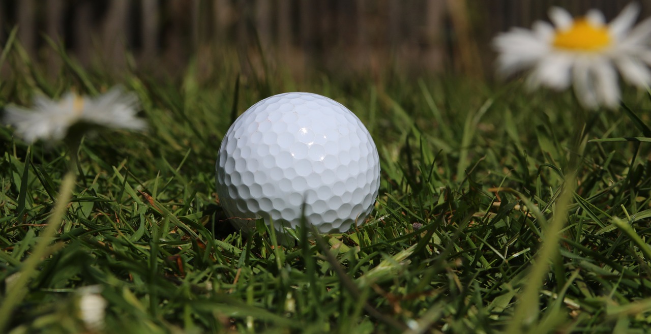 golf ball golf daisies free photo