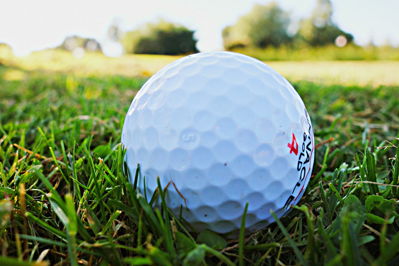 golf ball golf golfing free photo