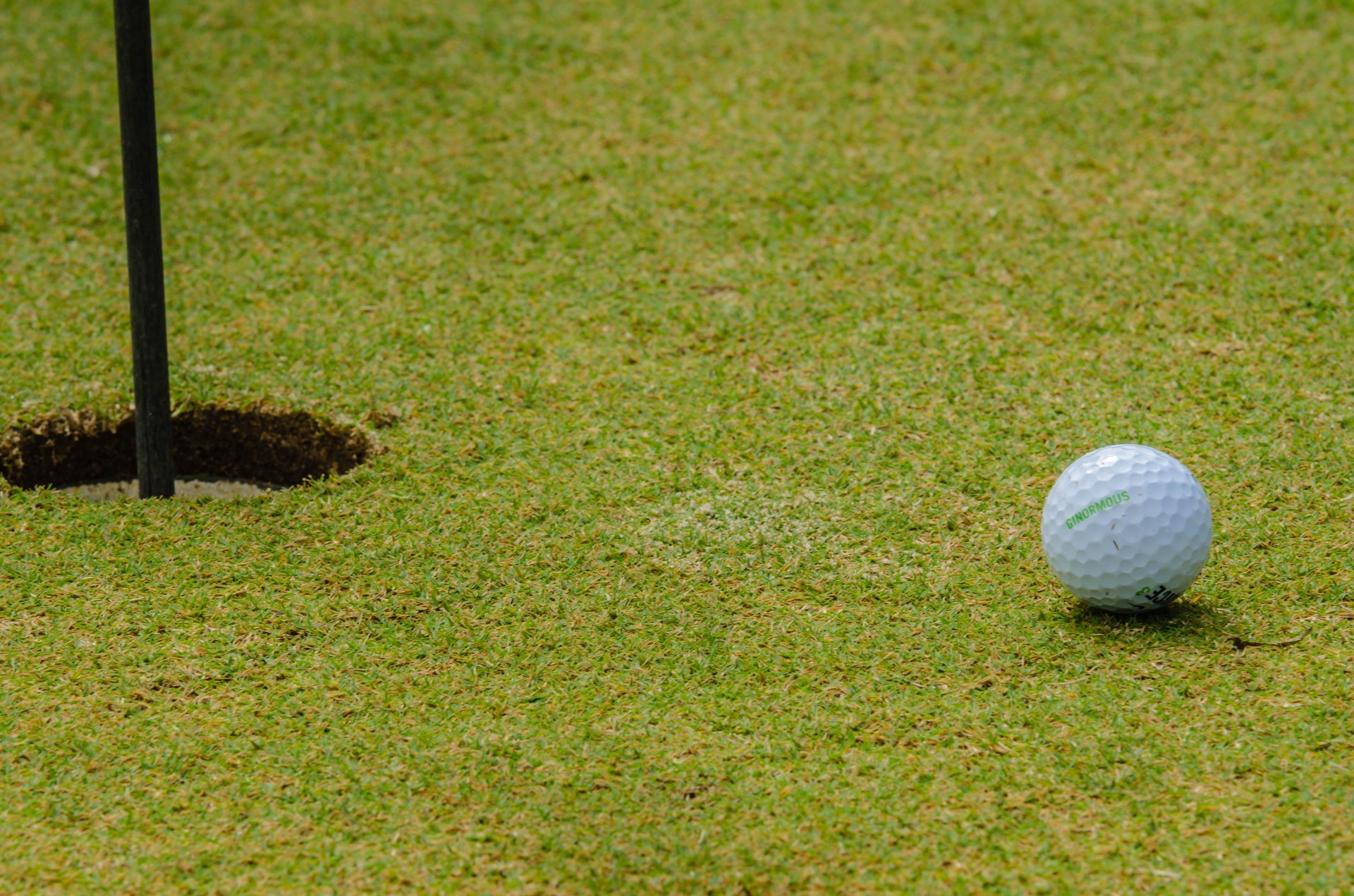 golfing golf ball free photo