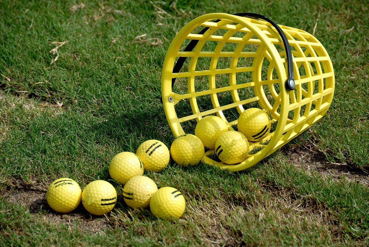 golf balls basket practice free photo