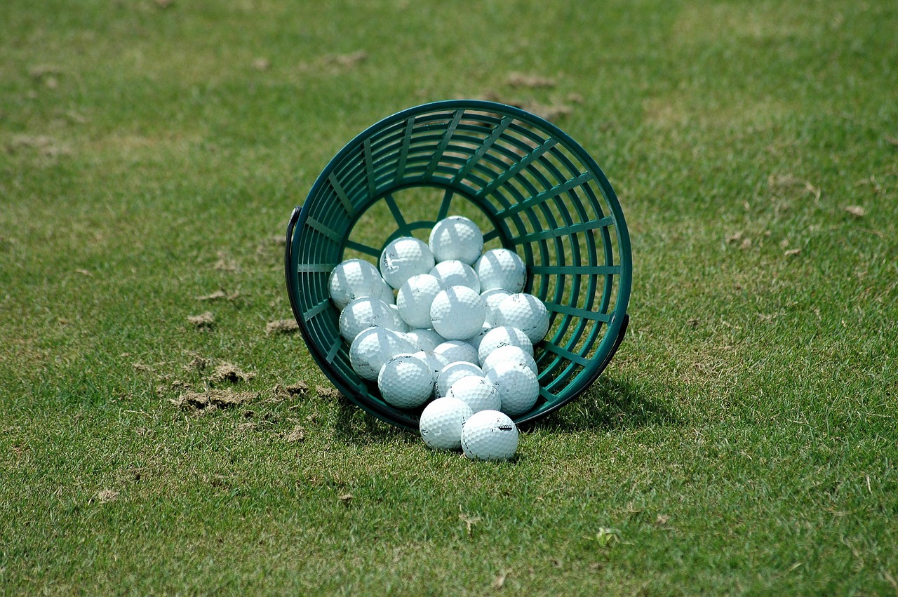 golf balls driving range basket free photo