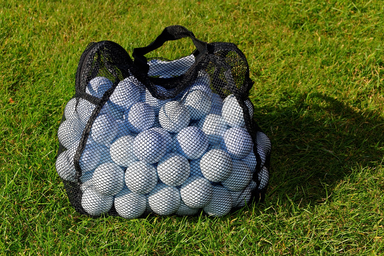 golf balls practice balls net free photo