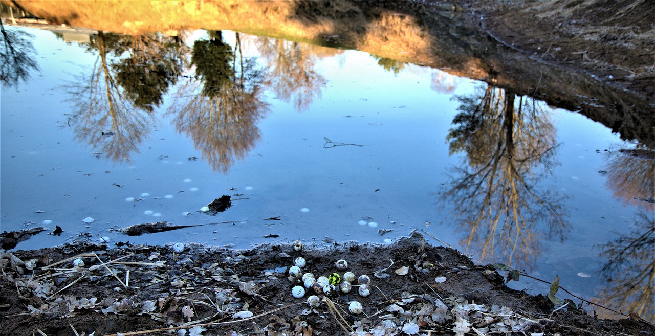 golf balls at the lake  water  mirroring free photo