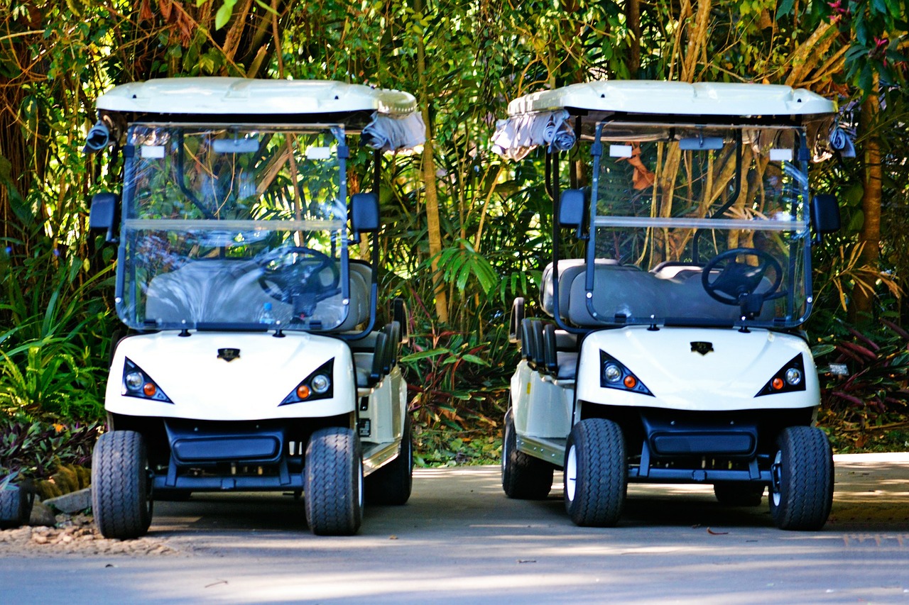golf caddies cars garden cars free photo