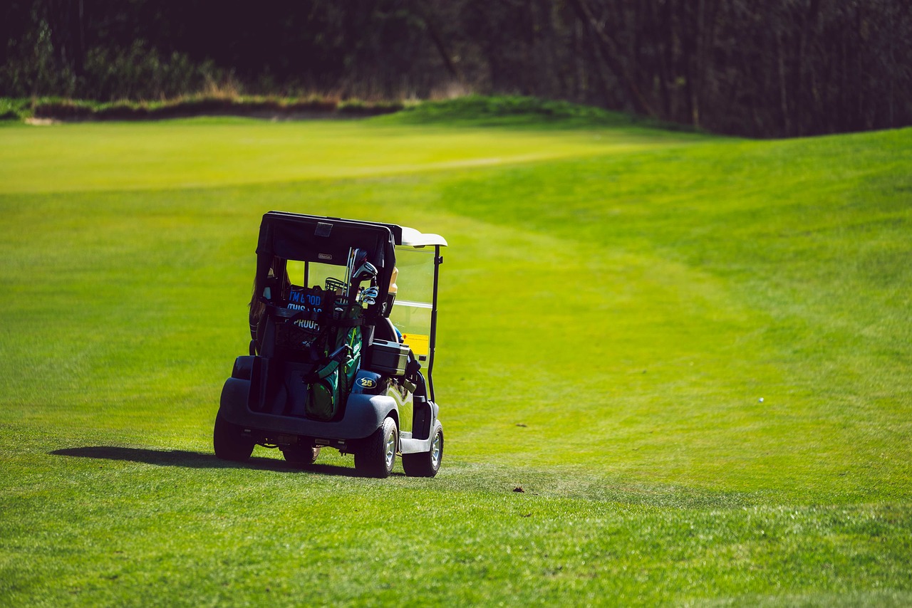 golf cart  grass  outdoor free photo