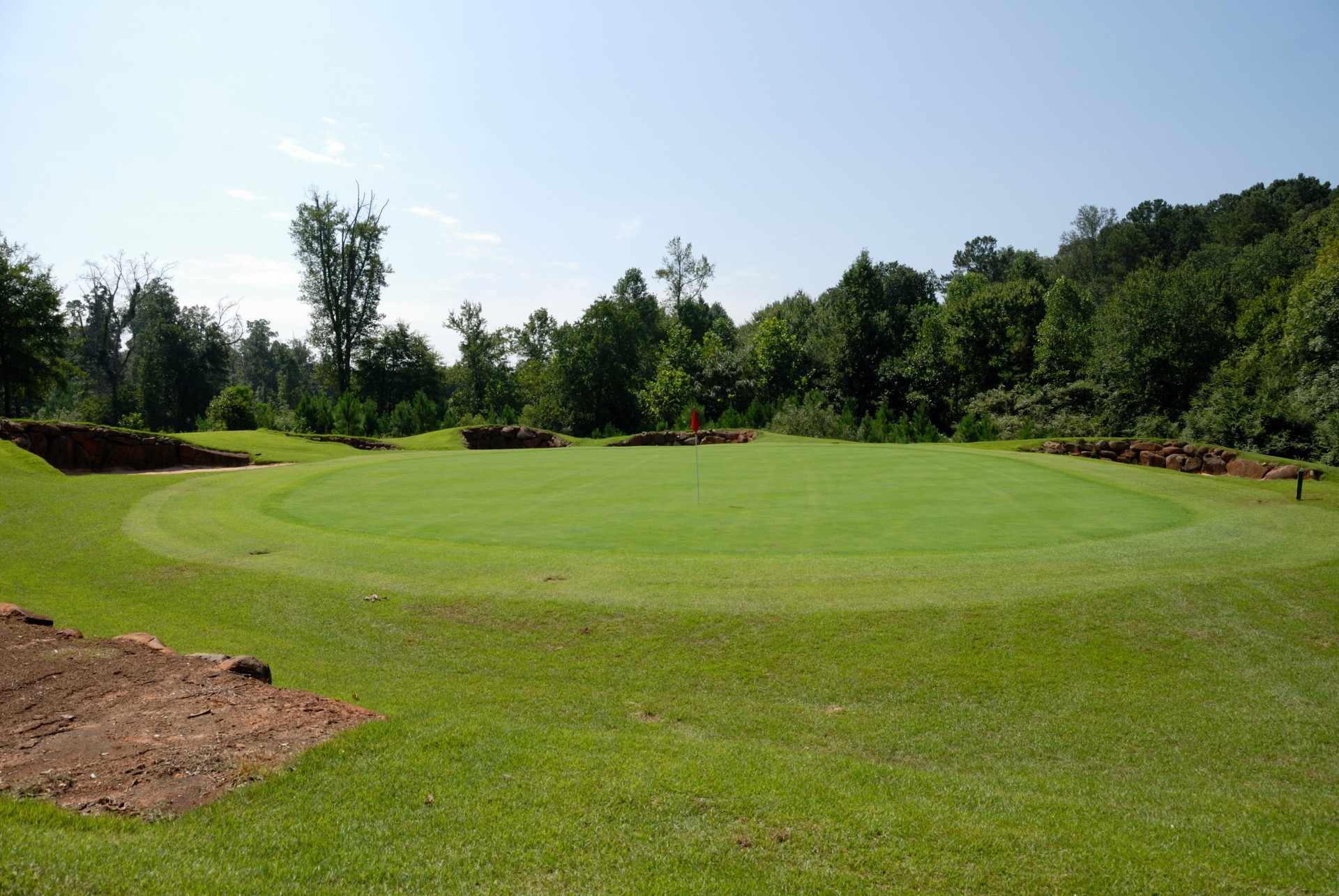 golf tree leisure free photo