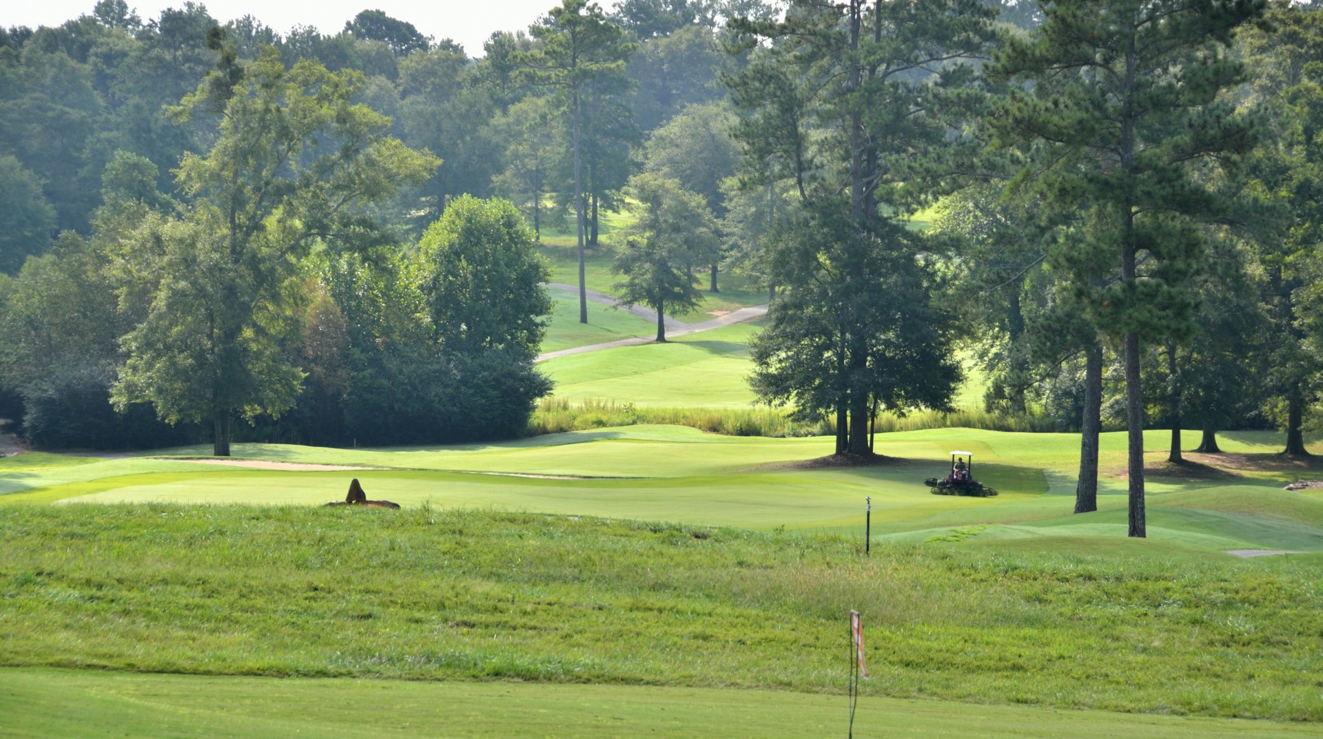 golf green leisure free photo