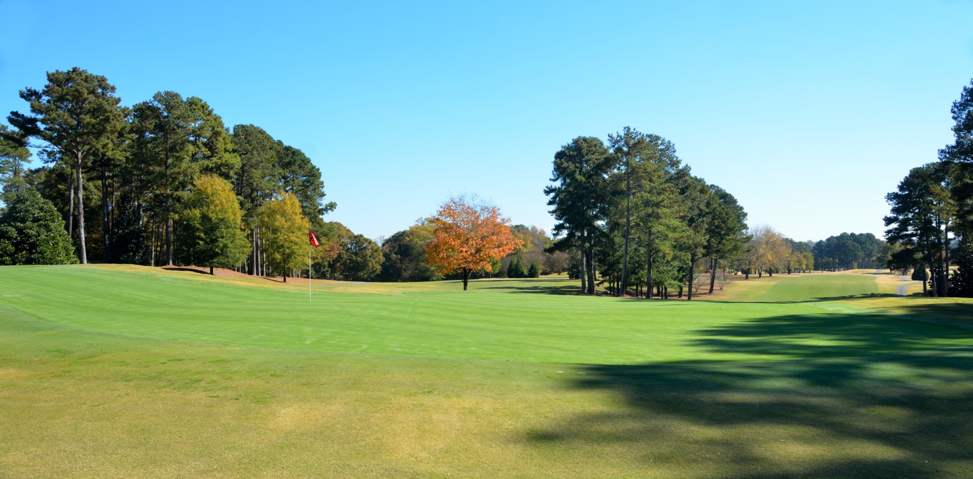 golf course golf sport free photo