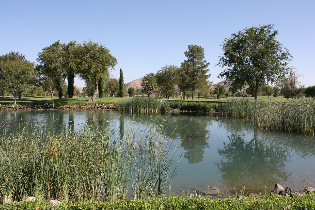 golf course scenery pond free photo