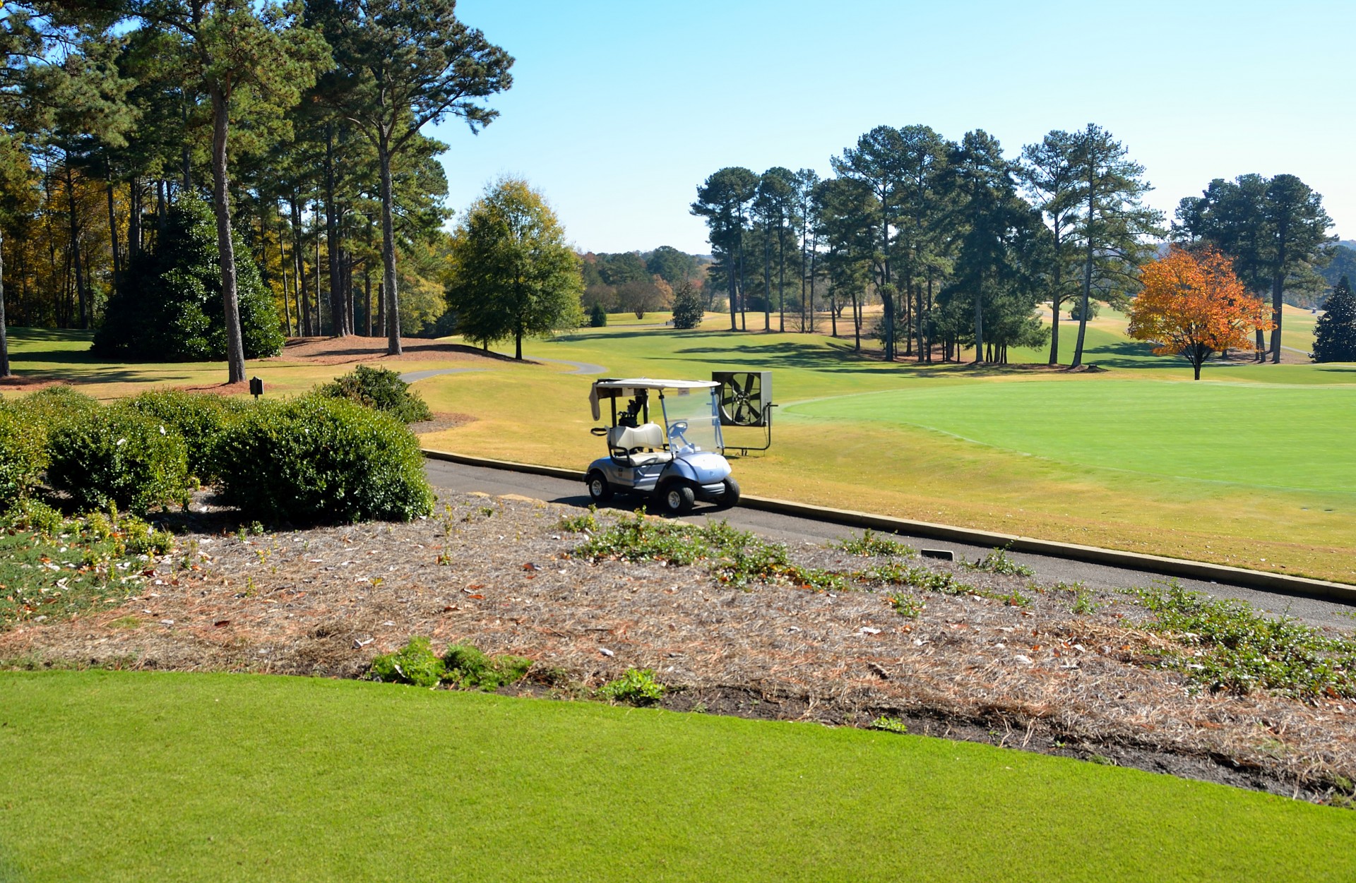 golf course golf golf cart free photo
