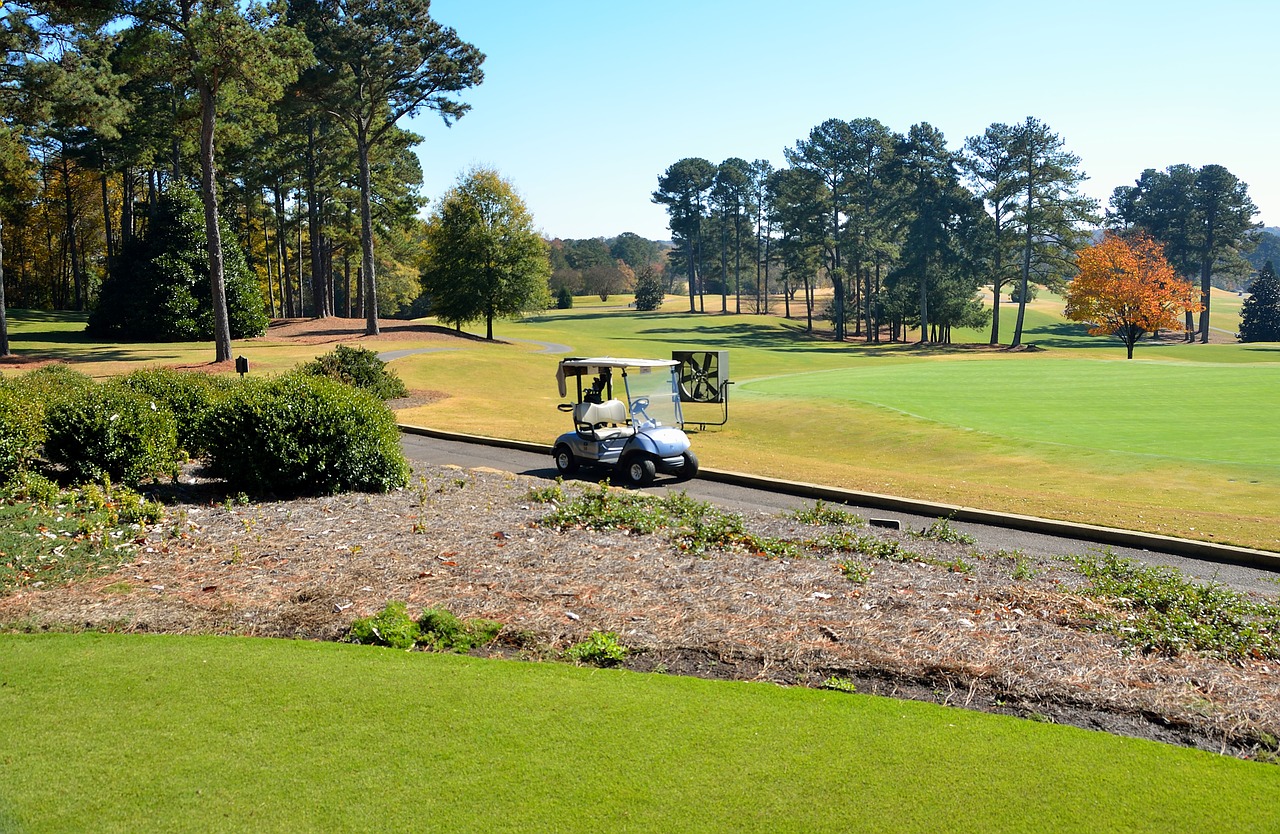 golf course golf cart greens free photo