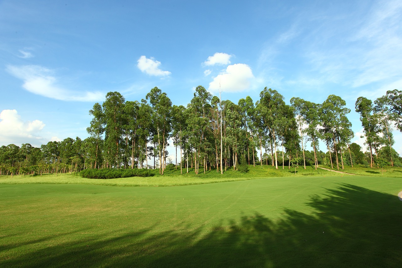 golf course green space landscape free photo