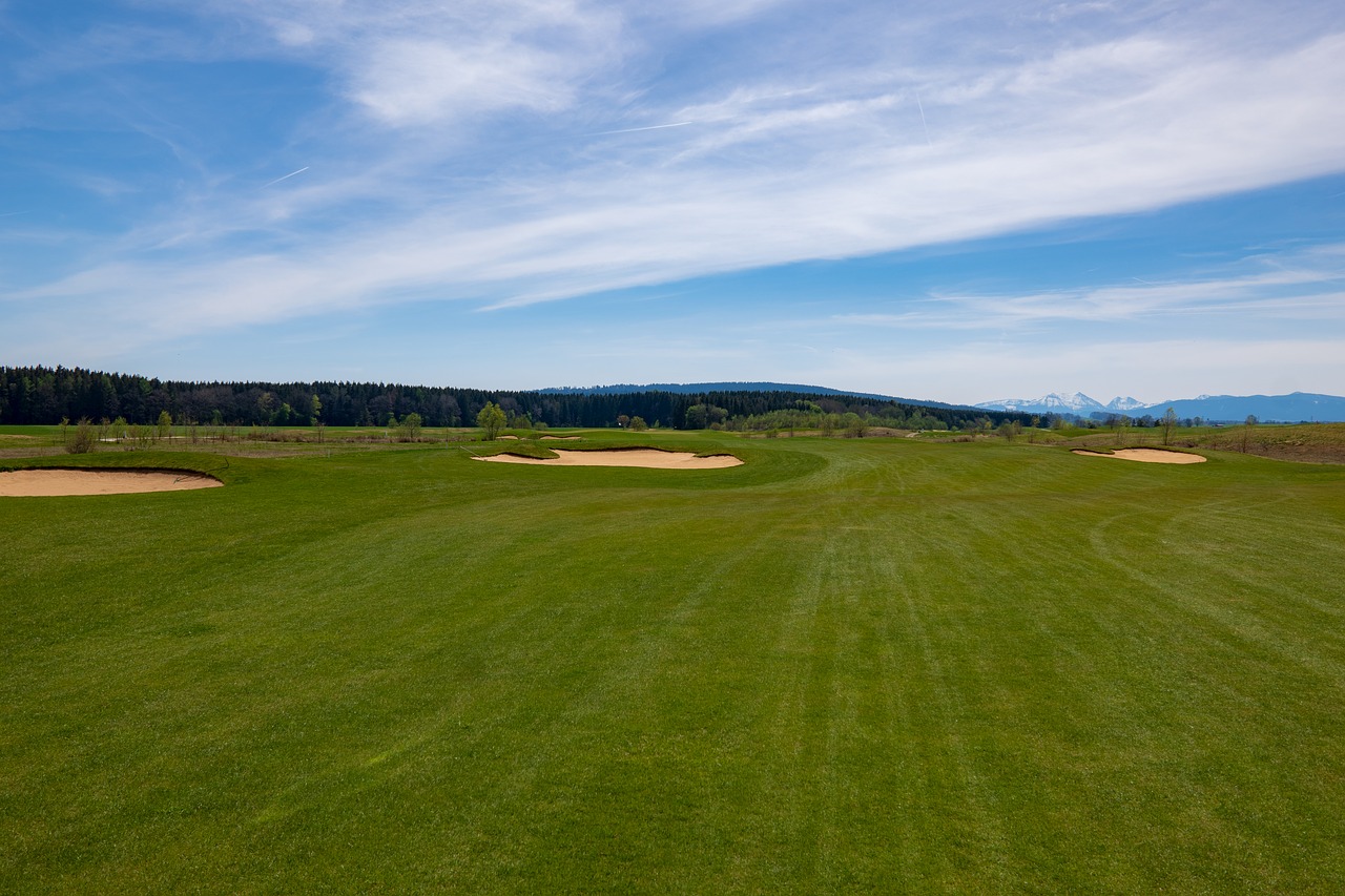 golf course  golf  fairway free photo
