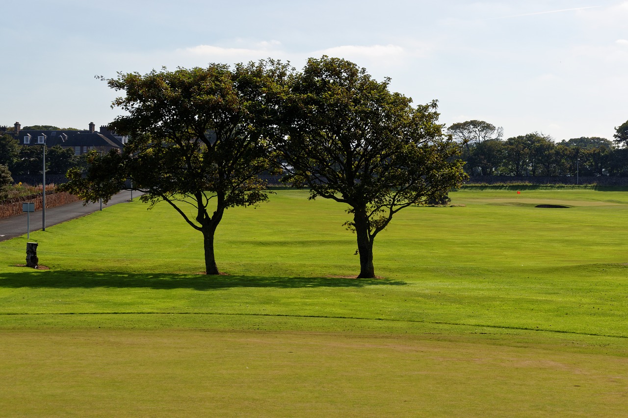 golf course golf course free photo
