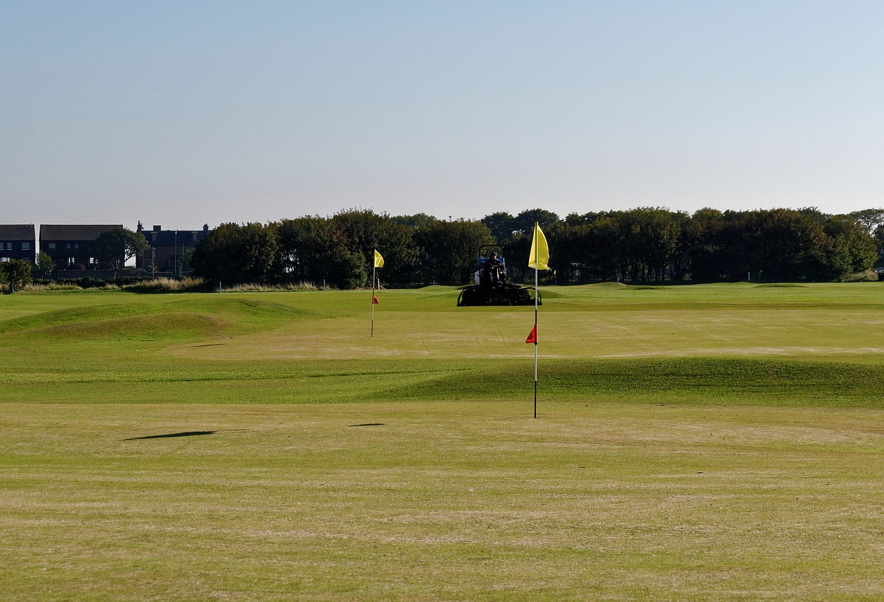 golf course golf flags green free photo