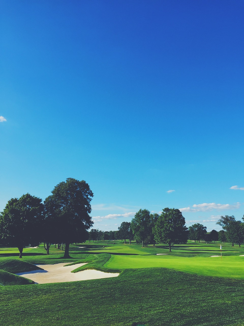 golf course green lawn free photo