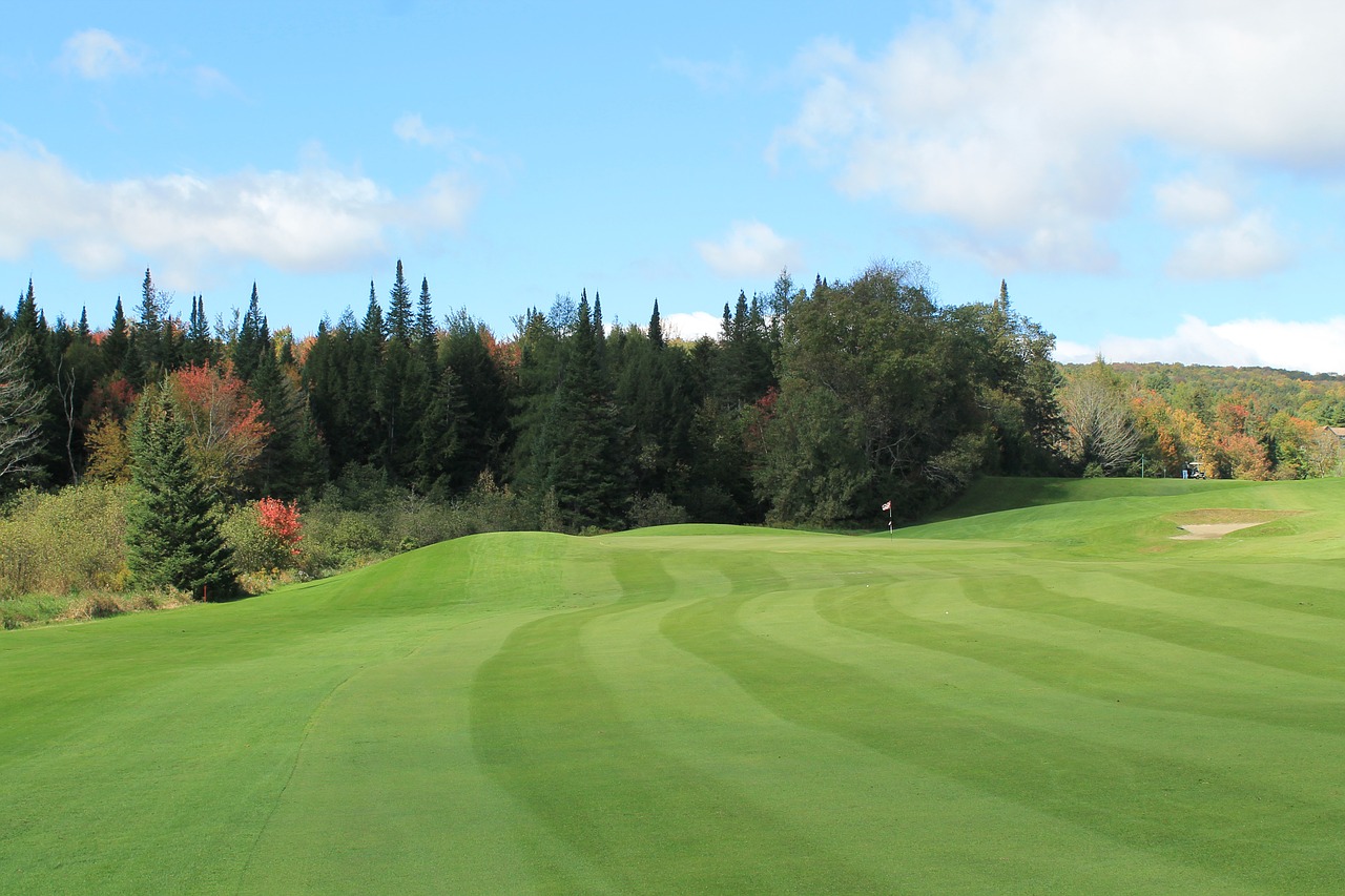 golf course vermont fairway free photo