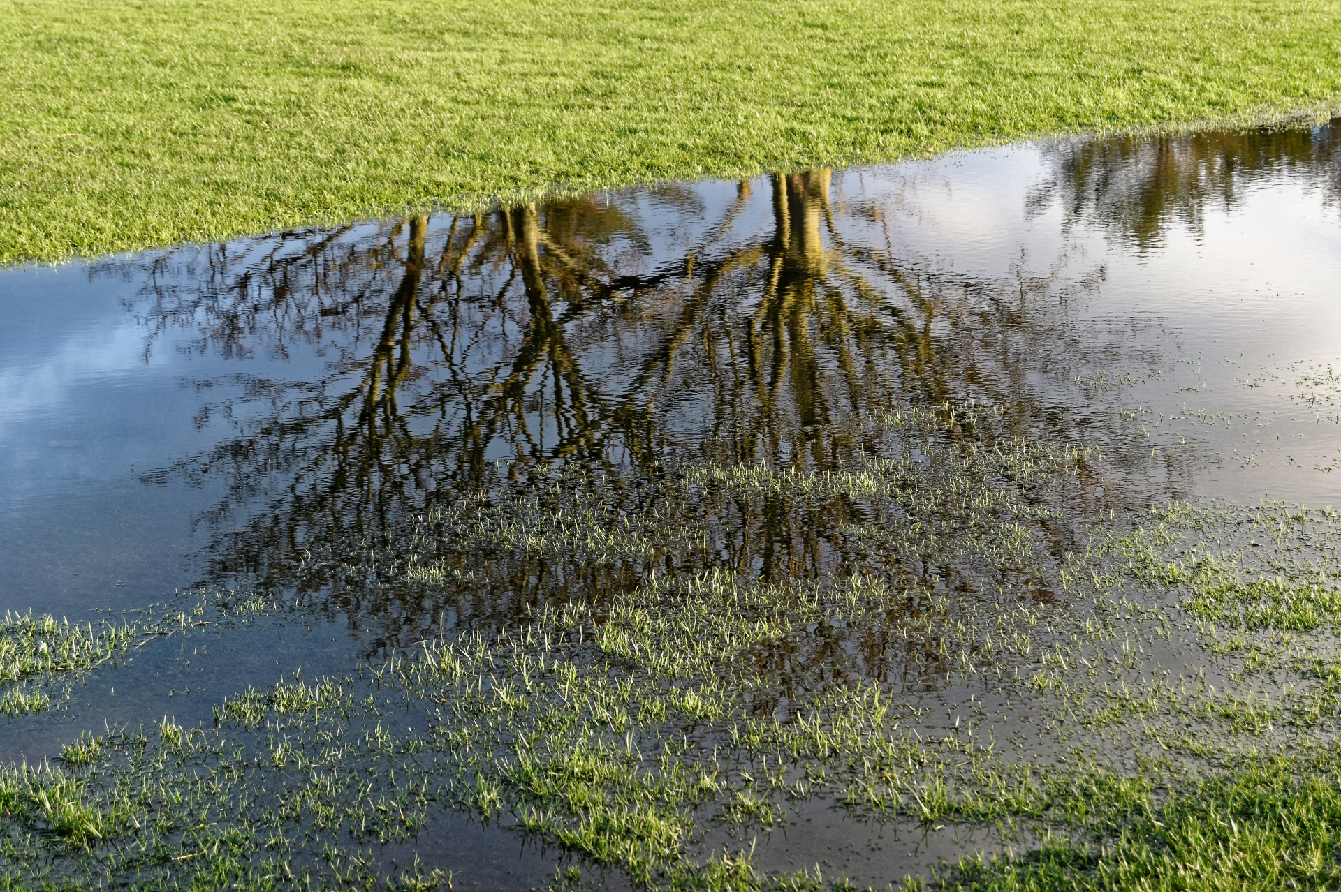 golf golf course flood free photo