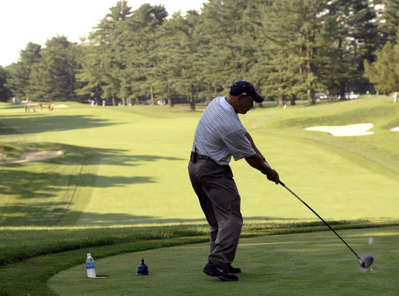 golfer golfing tee free photo