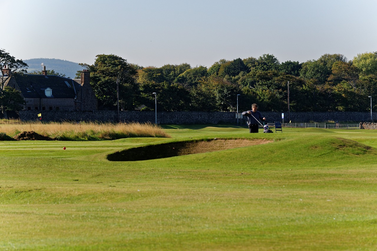 golfer golf course bunker free photo