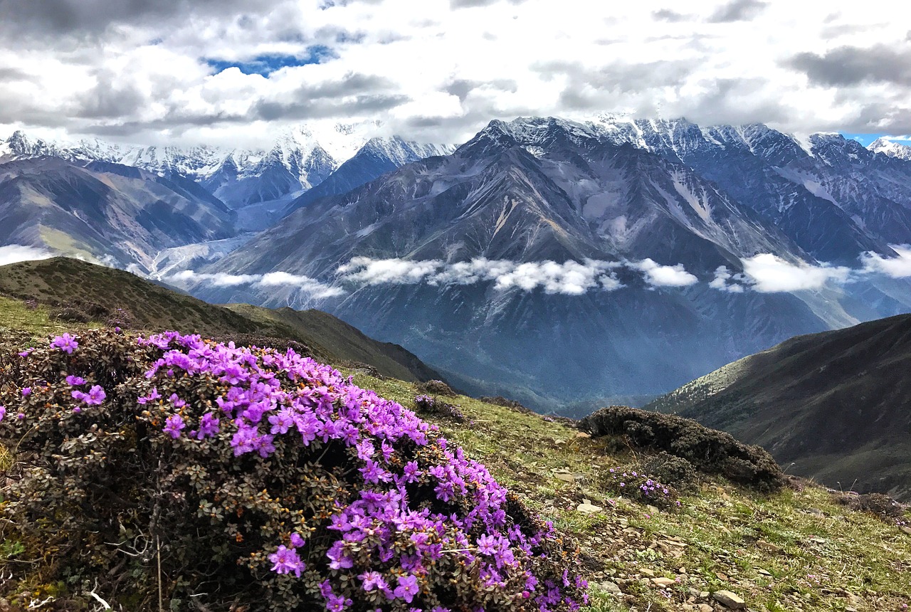 gongga snow mountain cloud on foot free photo