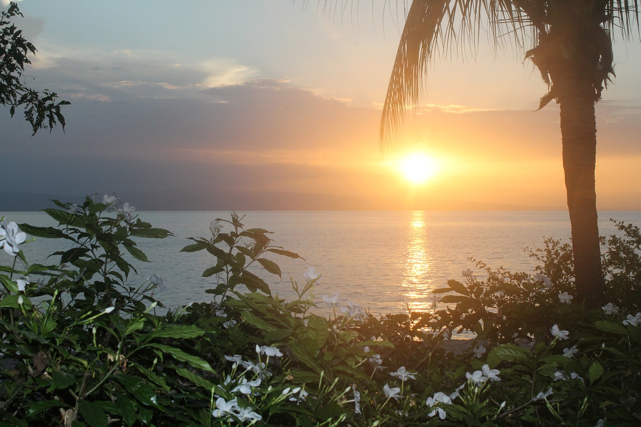 good evening sunset paradise free photo
