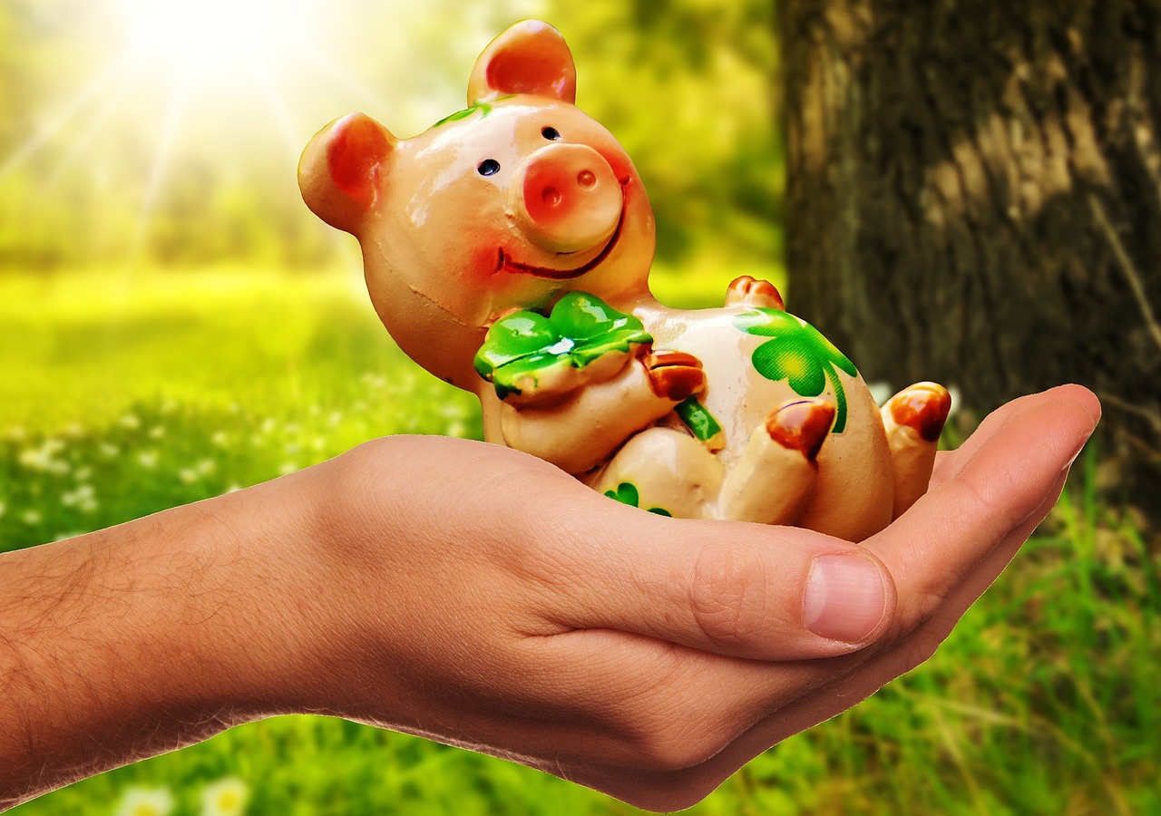 good luck handful happiness piglet free photo