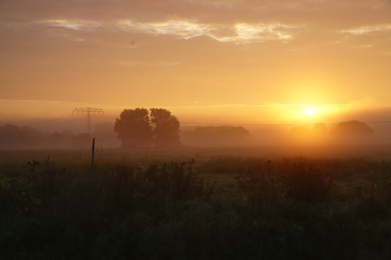 good morning sunrise morgenstimmung free photo