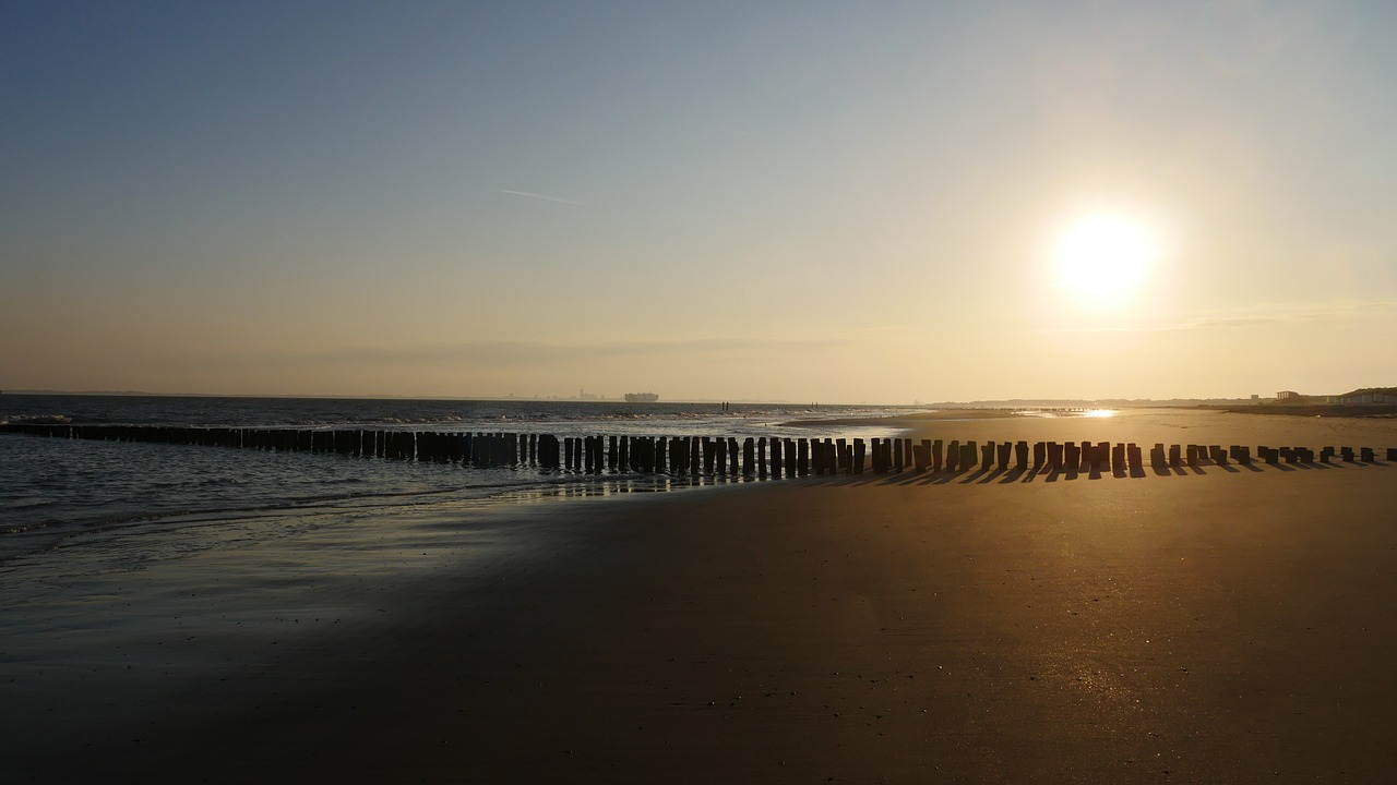 good morning beach sea free photo