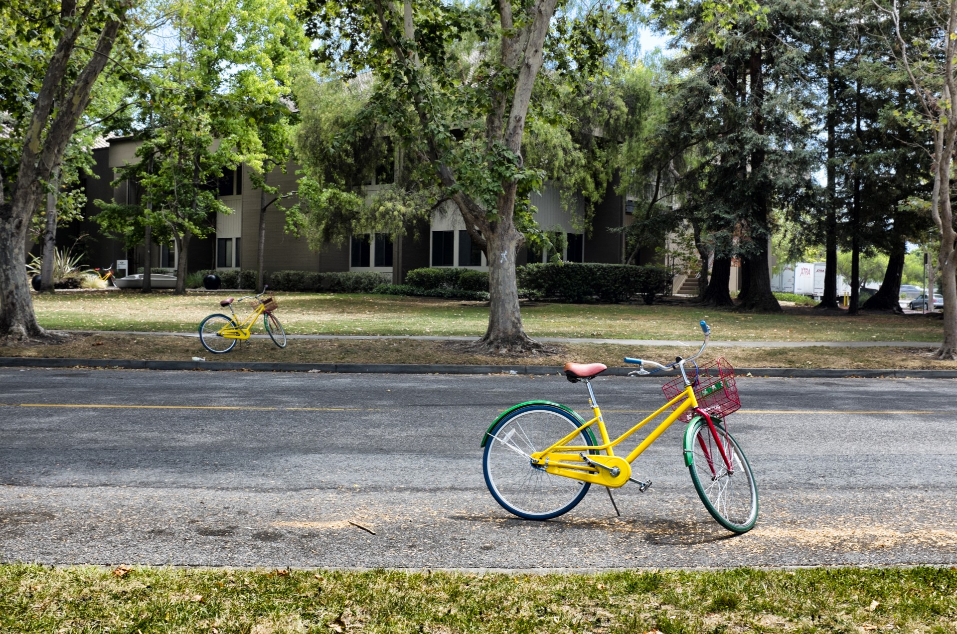 google bike color free photo