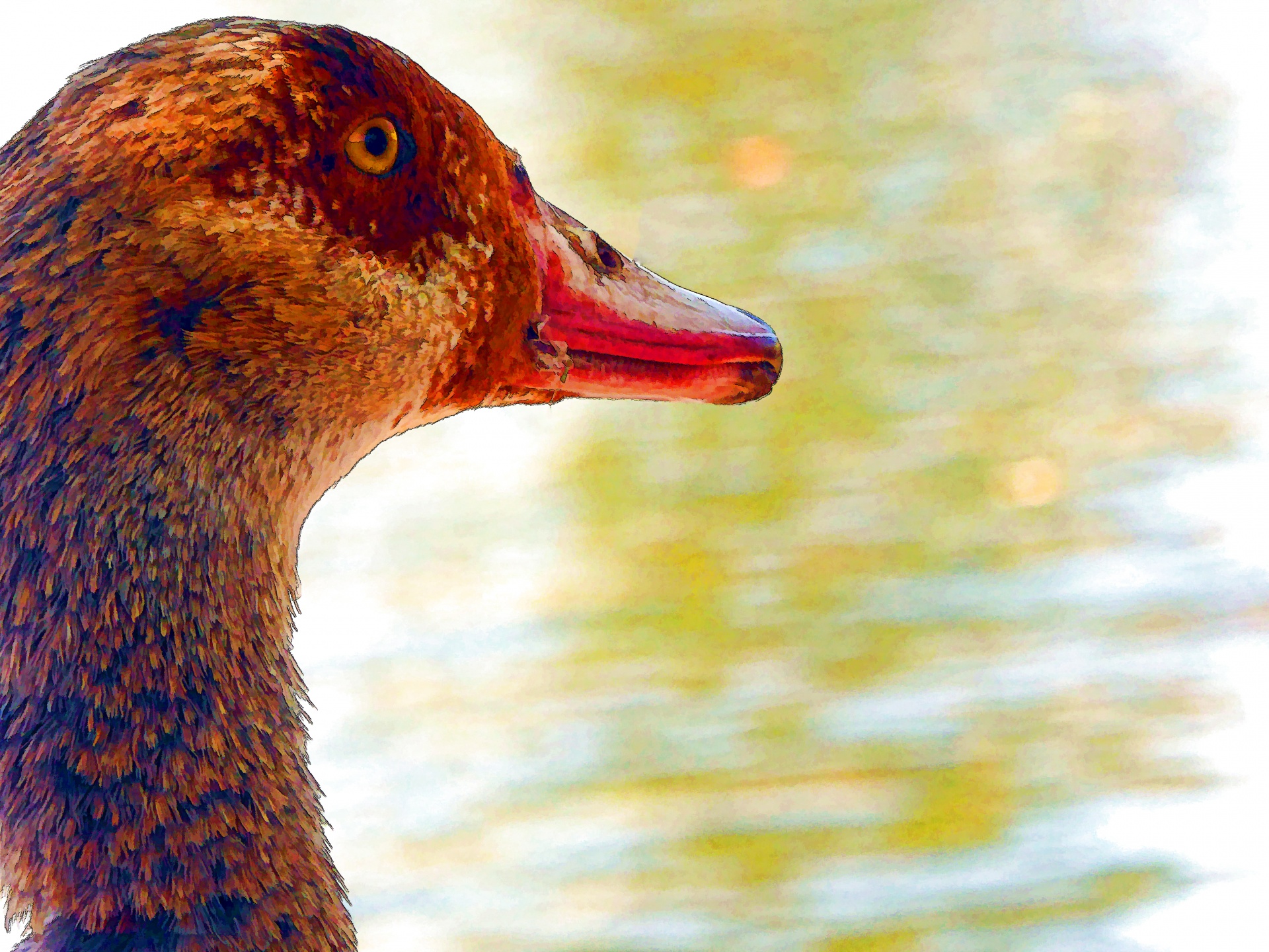 bird birds goose free photo