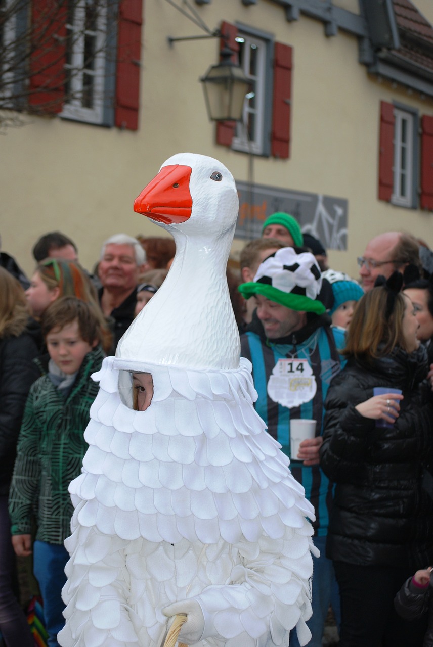 goose carnival shrovetide free photo