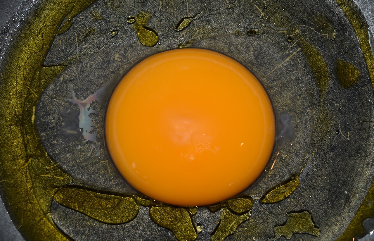 goose egg  egg  oca free photo