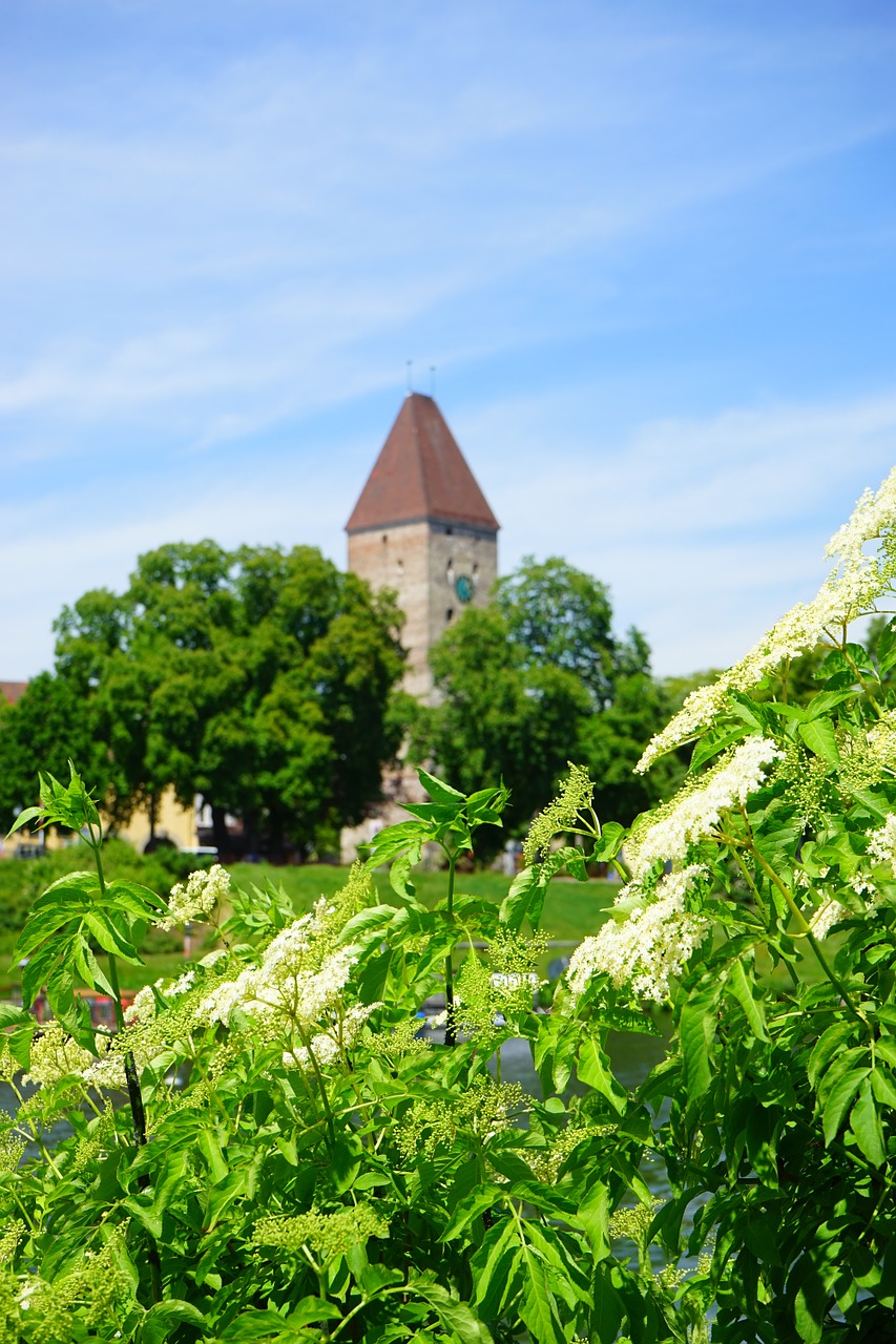 goose tower tower ulm free photo