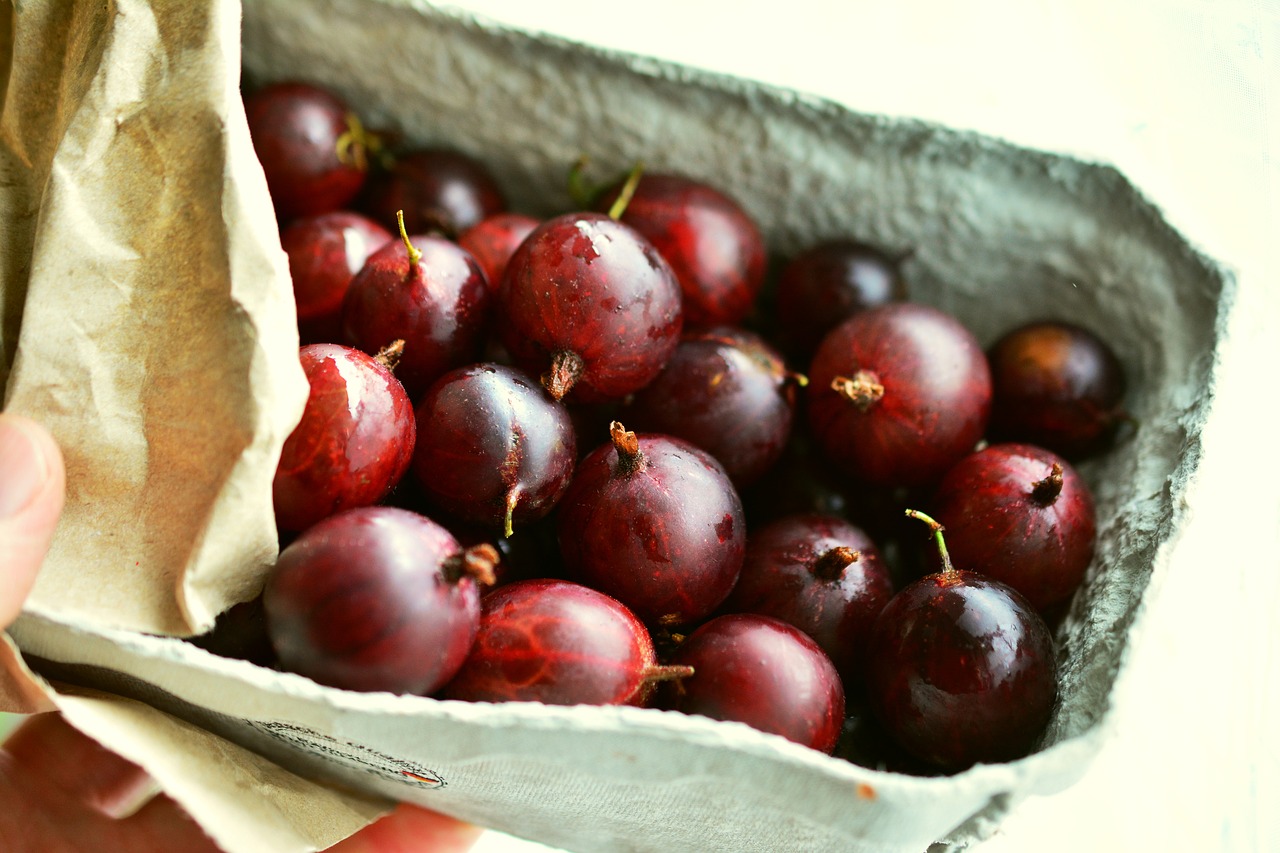 gooseberries red gooseberries fruits free photo