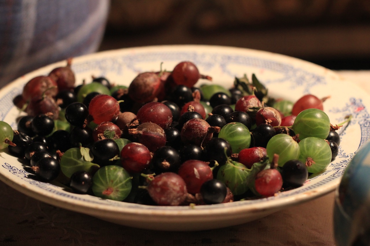 gooseberry plate berry free photo