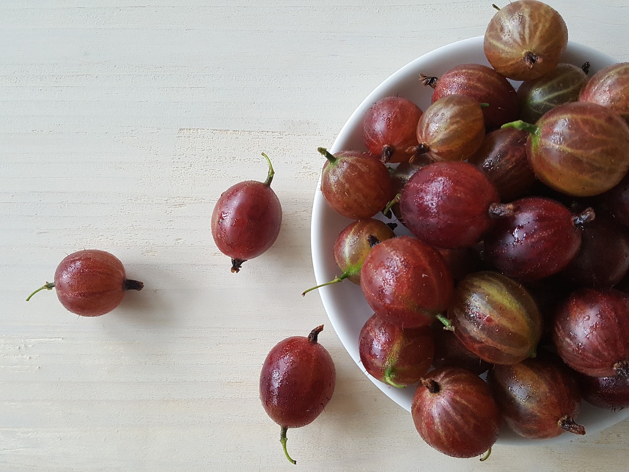 gooseberry fruit frisch free photo