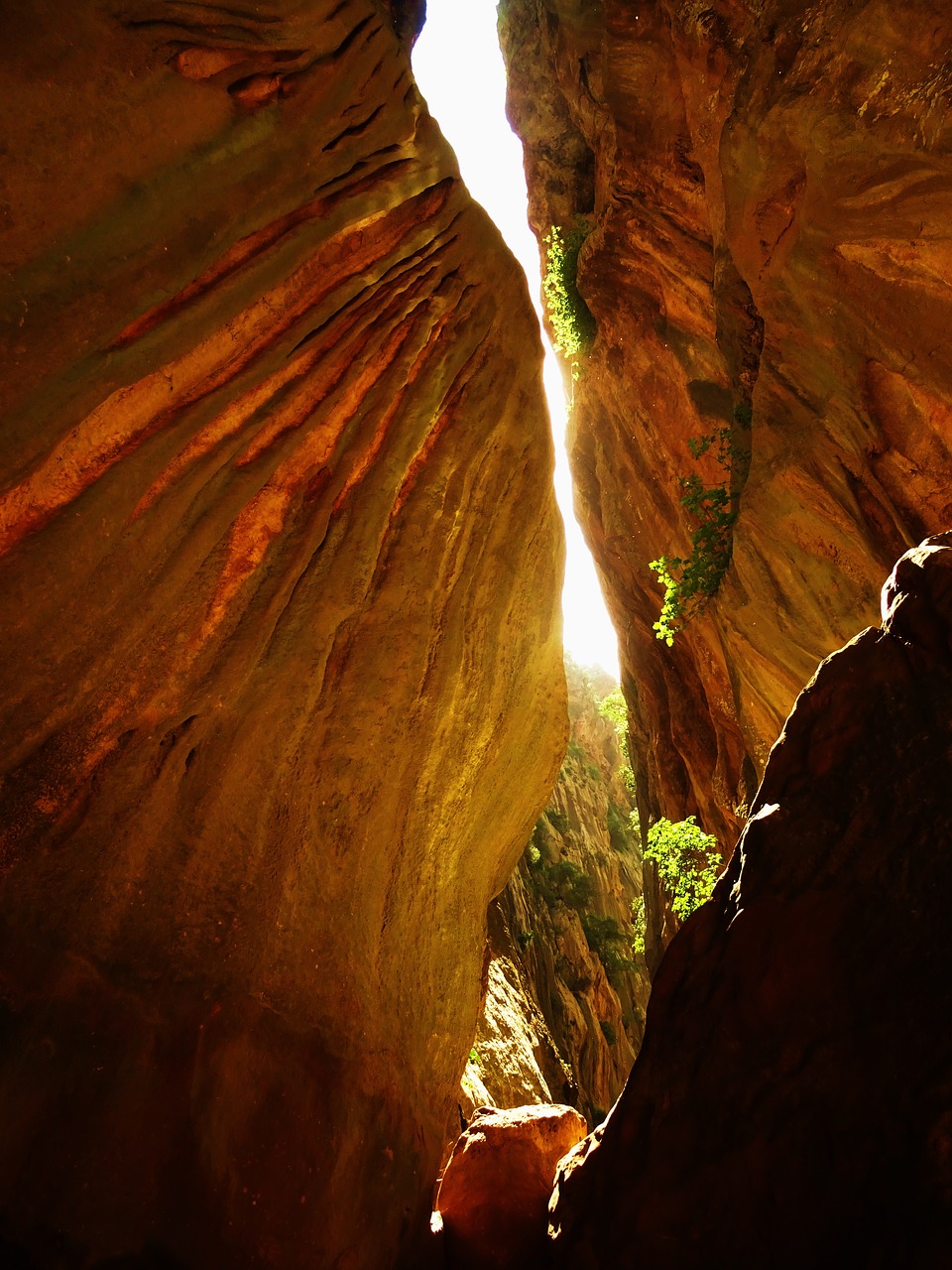gorge nature crevice free photo
