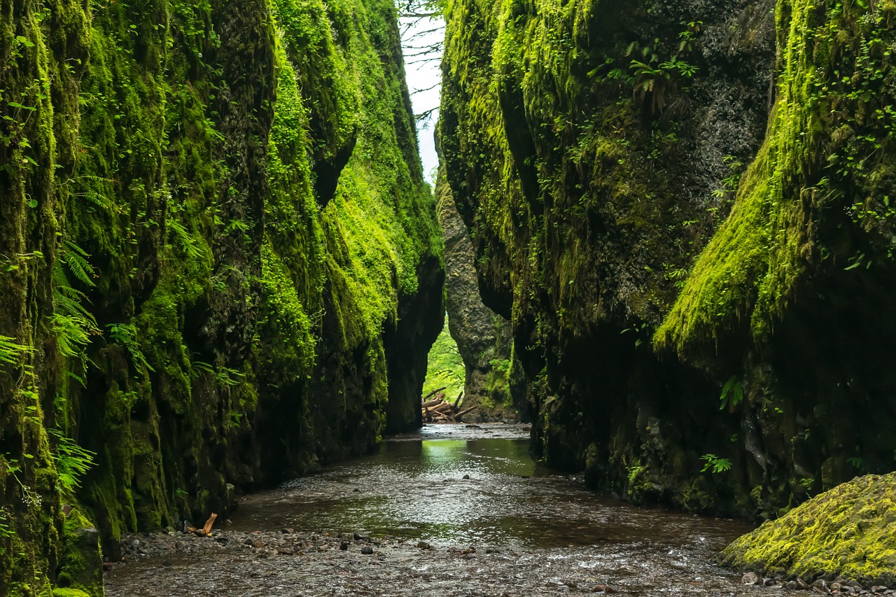 gorge steep valley free photo