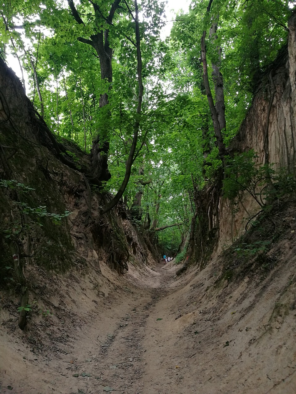 gorge st jadwigi sandomierz holidays free photo