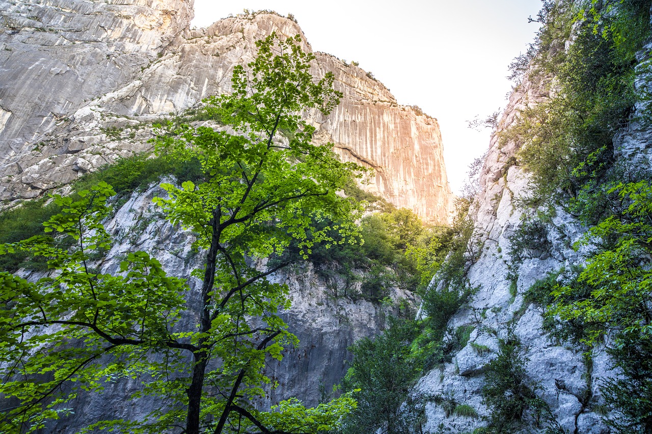 gorges du verdon france river free photo