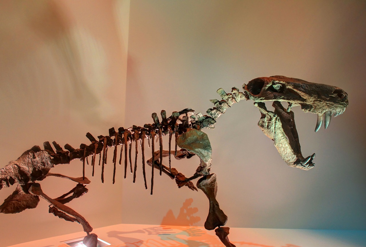 gorgon dinosaur skeleton free photo