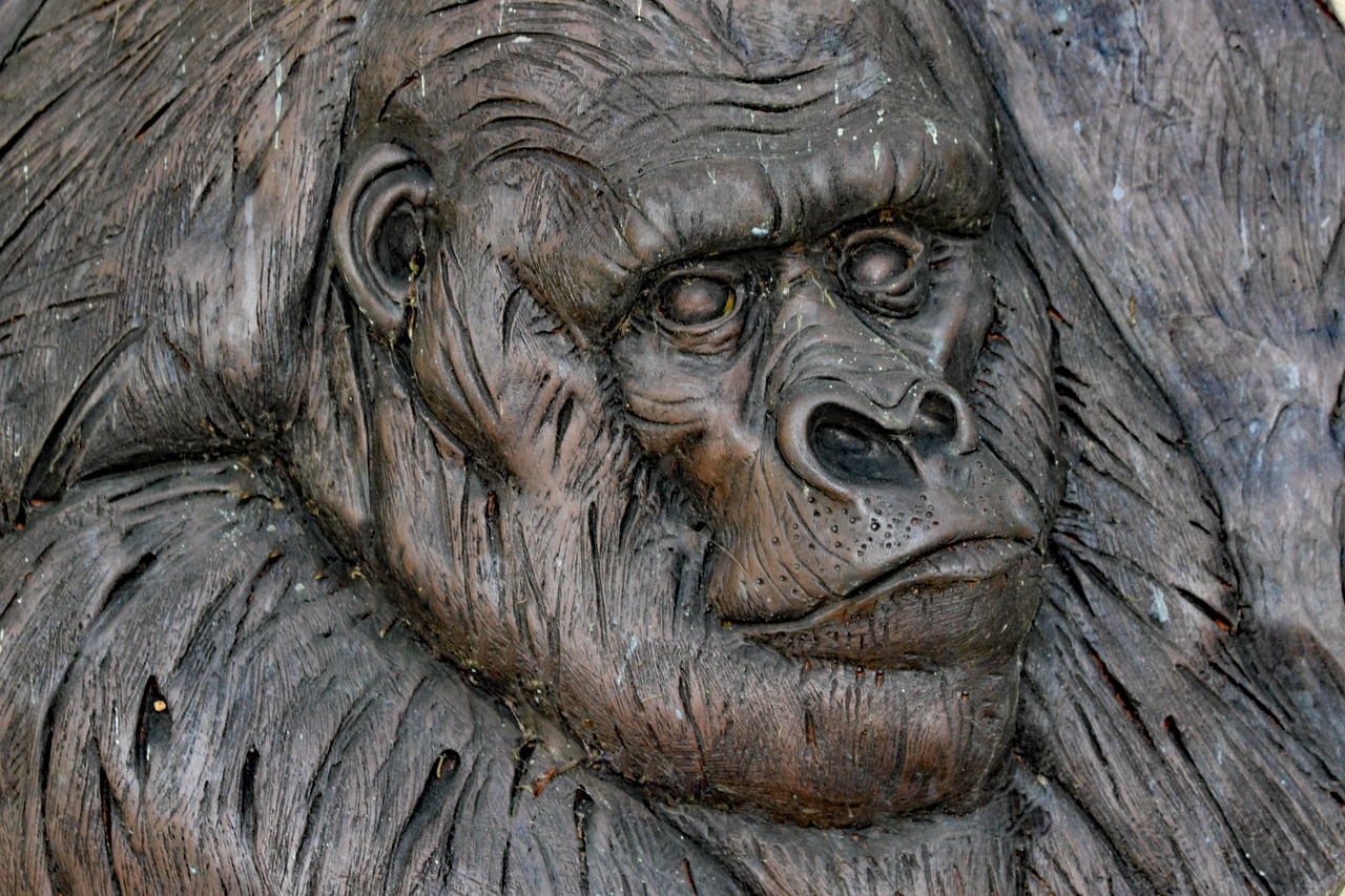 gorilla monkey carving free photo