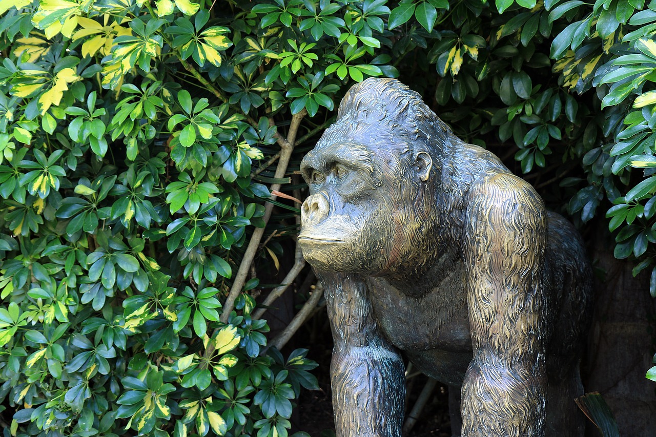 gorilla monkey sculpture free photo