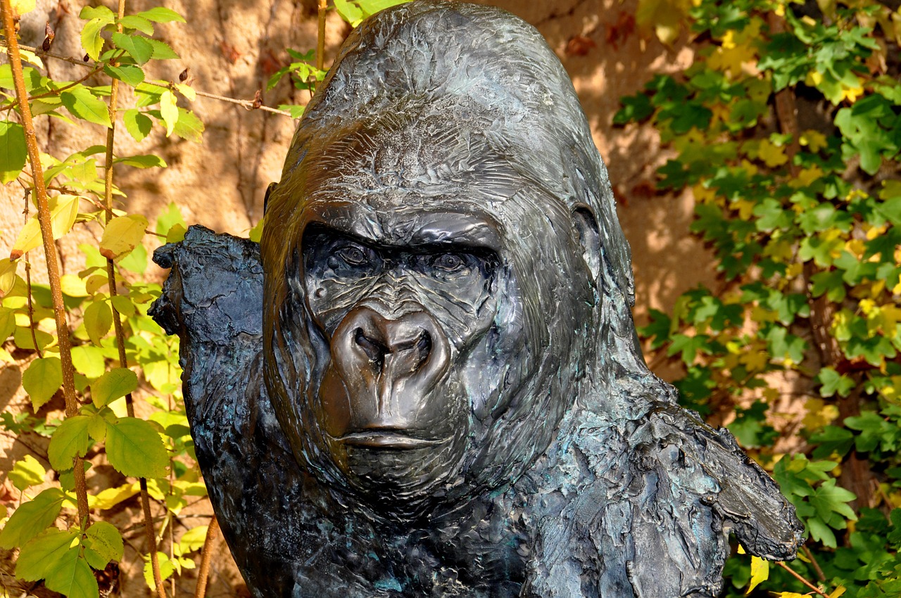 gorilla bronze sculpture wolfgang weber free photo