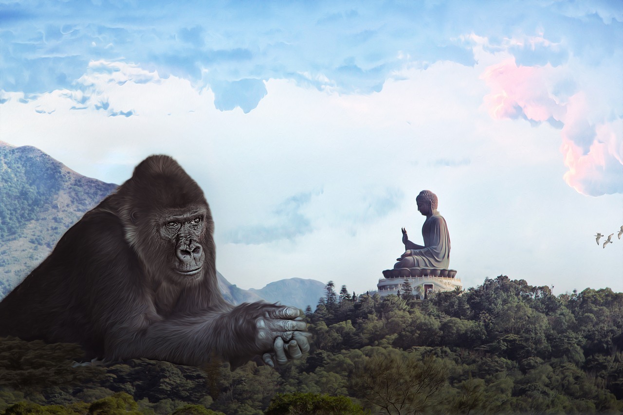 gorilla  budda  king kong free photo