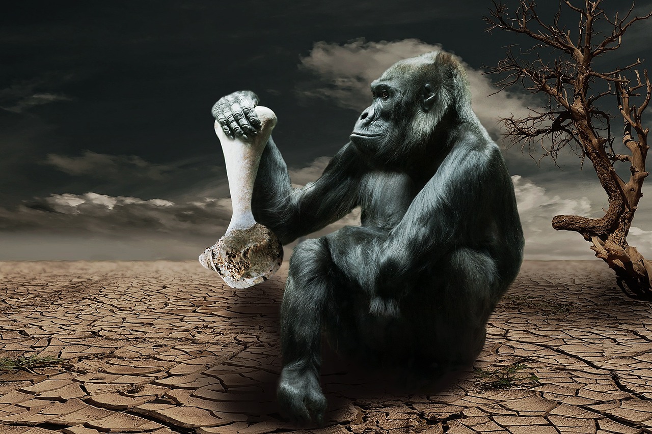 gorilla hunger environmental awareness free photo
