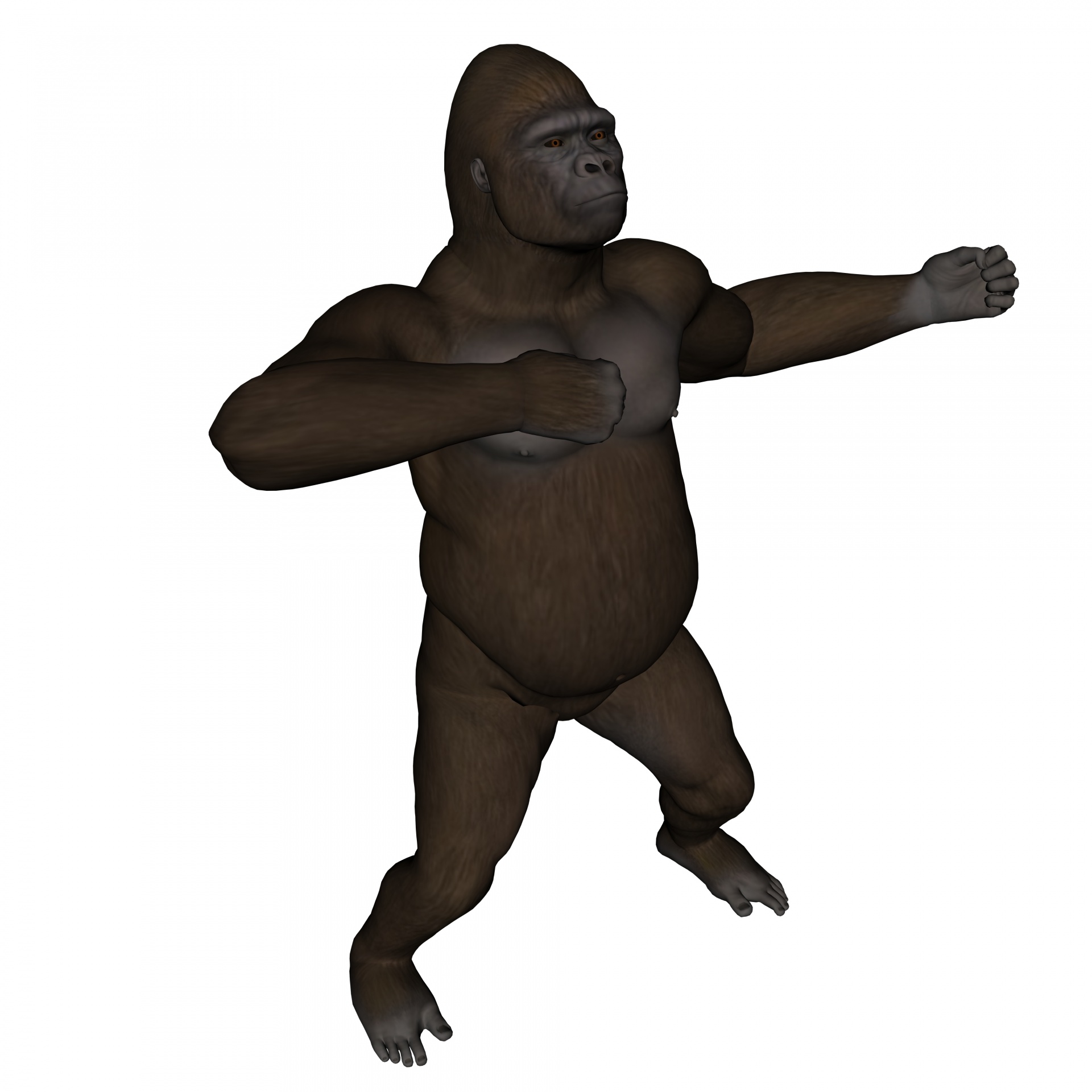 gorilla displaying power free photo