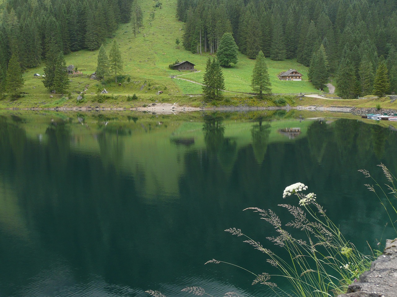 gosau lake dachstein free photo