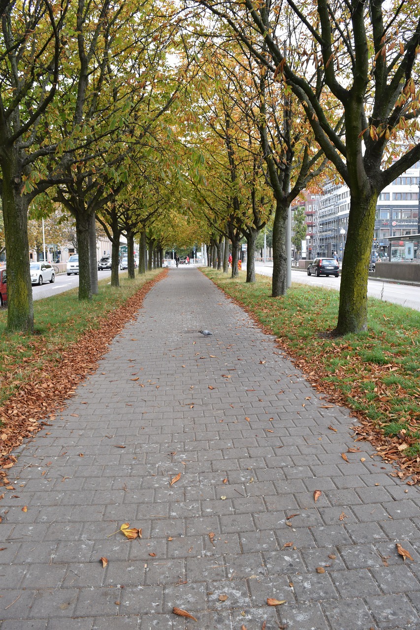 gothenburg autumn street free photo